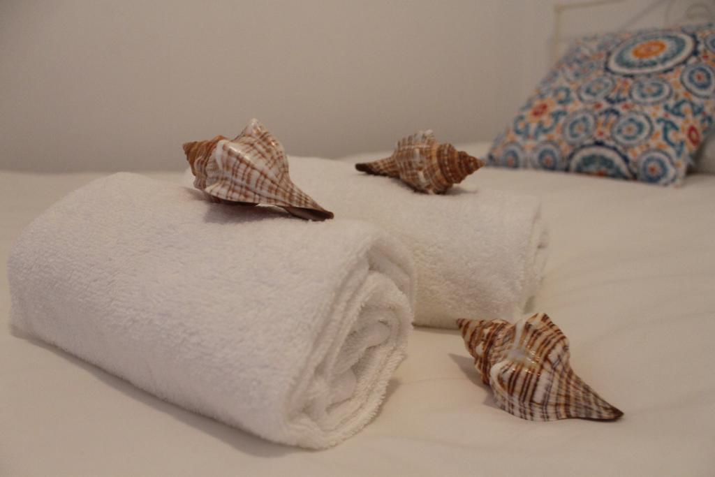 Consolacao Surf & Beach Apartment 外观 照片